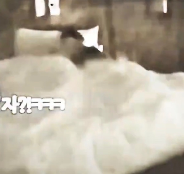 THIS BED MOMENT