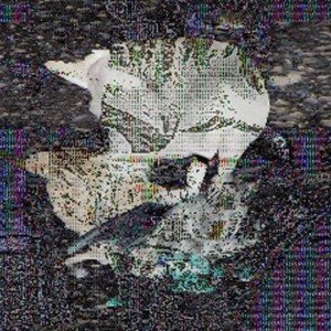 Death grips (Next grips)