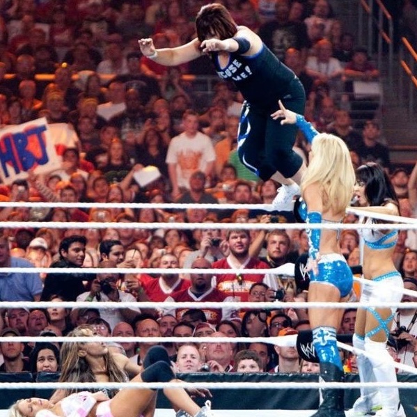 Alicia/Maryse/LayCool/Vickie vs Beth/Eve/Gail/Kelly/Mickie - WM XXVI