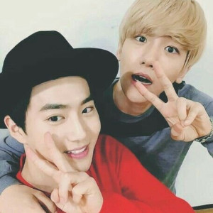 BaekMyeon (Suho, Baekhyun)