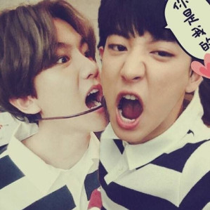 ChanBaek (Baekhyun, Chanyeol)