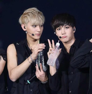 TaoKai (Tao, Kai)