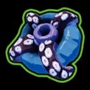 Squid Polyp
