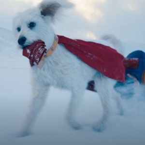 krypto