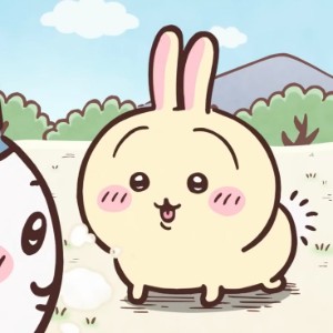usagi