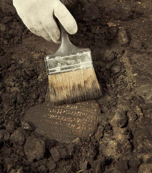 Archaeologist