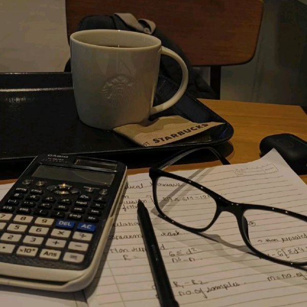 College/University Student