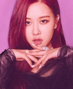 Rosé