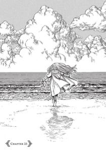Chapter 25