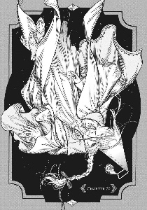 Chapter 70