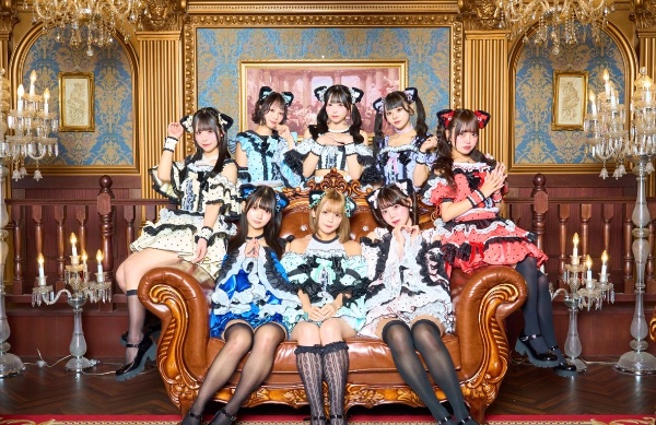 Suteneko Cats