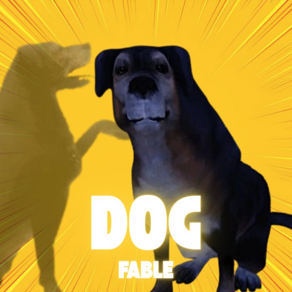 Dog
