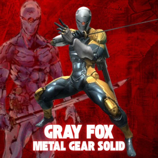 Gray Fox