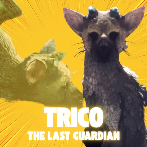 Trico