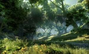 the emerald graves