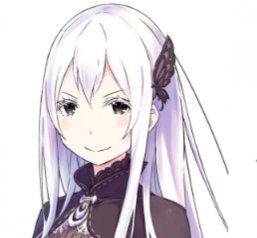Echidna