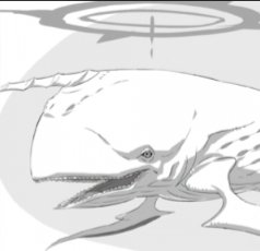 White Whale