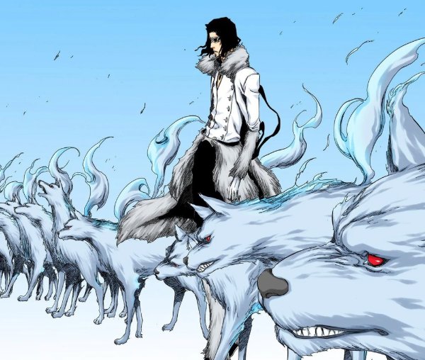 Coyote Starrk