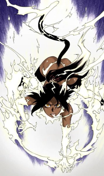 Yoruichi Shihōin
