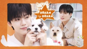 jn & jm at animal shelter