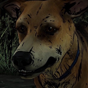 sam