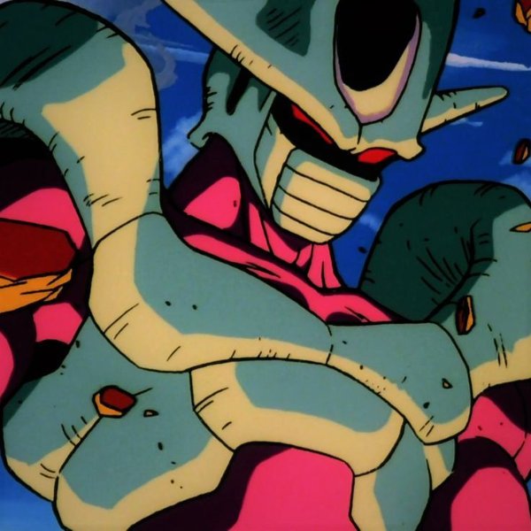 Cooler