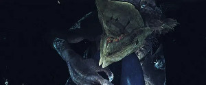 Last WIsh
