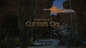 Cutter's Cry (A Realm Reborn)