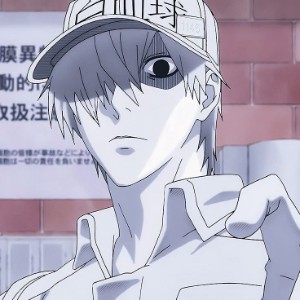 White Blood Cell - Cells at Work!
