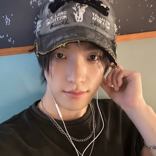 dino straight
