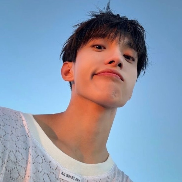 dk straight