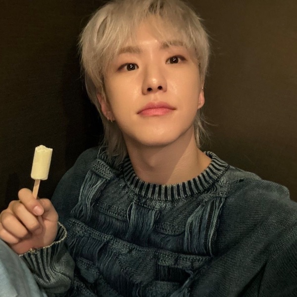hoshi gay