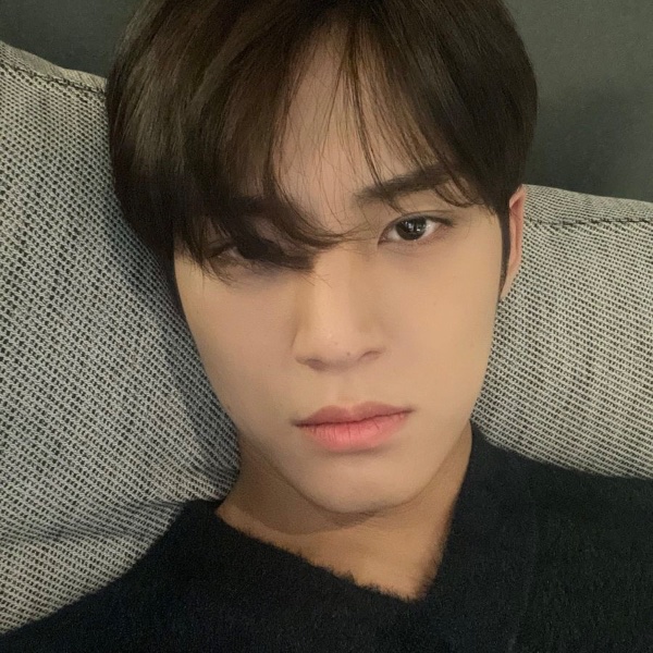 mingyu gay