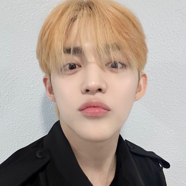 scoups straight