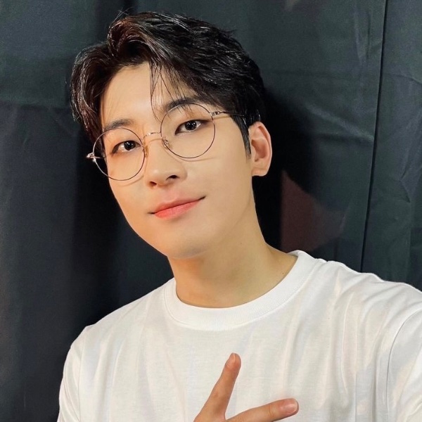 wonwoo bisexual