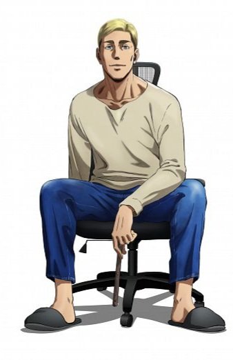Desk Chairwin