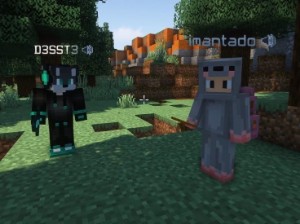 D3SS e Imantado