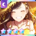 sunflower an