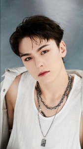 Seventeen Vernon