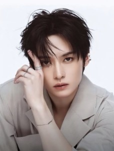 Stray Kids Lee Know