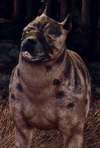 Barkspawn