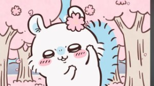 Momonga
