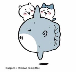 Sunfish