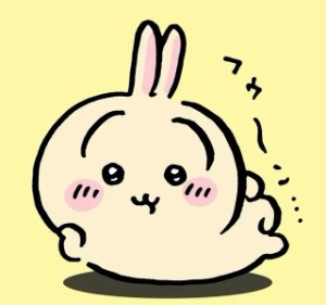 Usagi