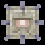 Elder Guardian
