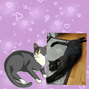 Cats on Cocaine