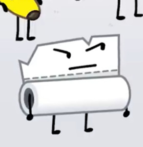 paper towel roll