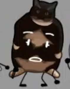 plump cat