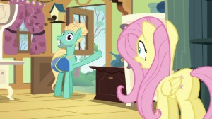 s6e11 flutter brutter