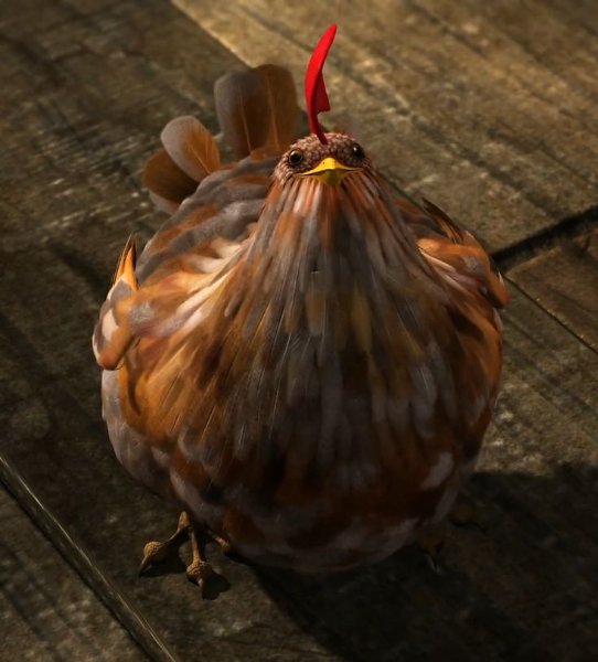 Chicken